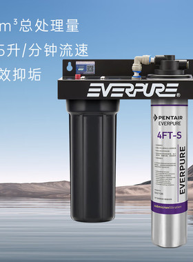 爱惠浦FT系列商用大流量净水器4FT-S\7FT-S 咖啡奶茶店餐厅净水机