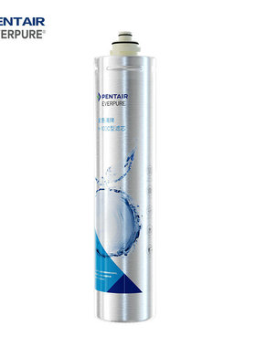 爱惠浦（Everpure）H-100C净水器主滤芯厨房直饮净水机过滤滤芯