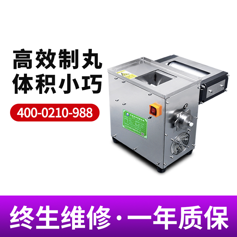 老药师制丸机小型煎药机