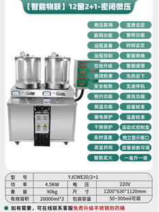 正品 新款 老药师二连体三连体中药煎药包装 一体机煎药机包装 机熬药