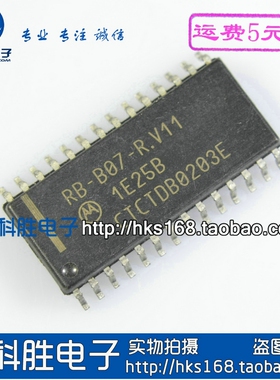 RB-B07-R.V11 汽车电子IC