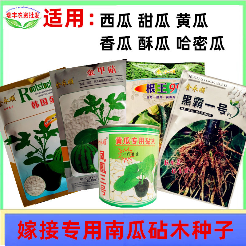 Гибридный белый семя тыква семена арбуз дыня огурец прививка Корень черный стержень Корневая система стержня анти -дизаза