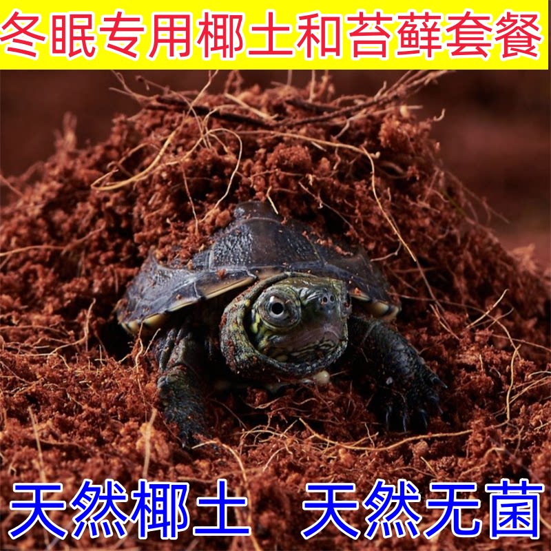 乌龟冬眠椰土椰砖爬虫箱专用苔藓爬宠躲避/造景