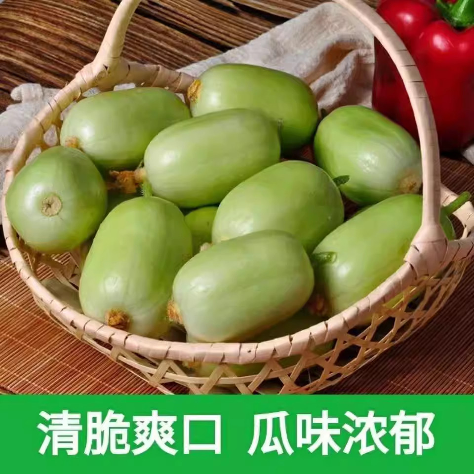 头茬黄瓜新鲜玉女黄瓜水果小黄瓜拇指黄瓜生吃青瓜旱白玉黄瓜蔬菜