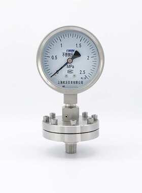 隔膜压力表\Y1003040-25MPaG1\20Cr18Ni9Ti1.6级YTF-100H/ML高压