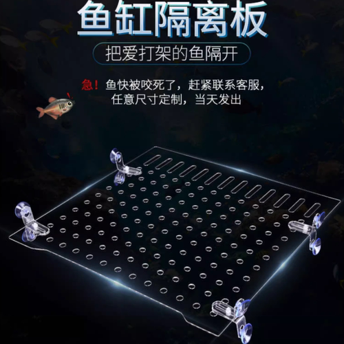 鱼缸隔离板PC板隔板鱼苗隔离板