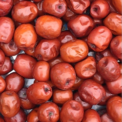 大酸枣陕北佳县大酸枣酸多甜少酸甜的还有特酸的自己选都洗干净的