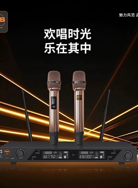 BBS CT-6A无线话筒一拖二高端影音家用KTV唱歌舞台演出麦克风