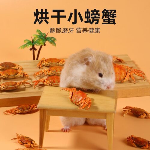 仓鼠零食烘干小螃蟹酥脆磨牙海鲜高蛋白营养丰富金丝熊花枝鼠零食