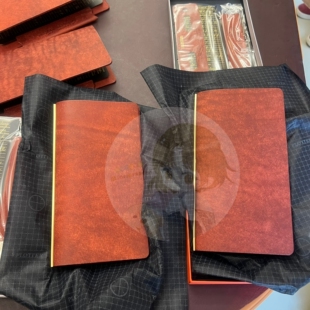 【茱茱酱】日本直邮plotter九周年限定box 破菠萝 liscio