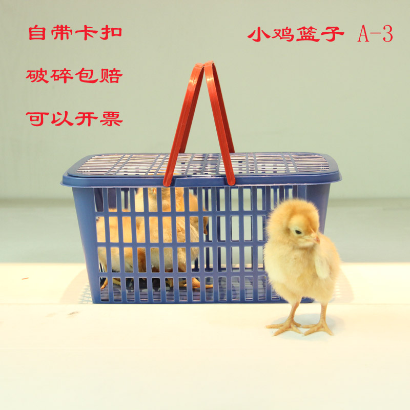 宠物小鸡小鸭篮集市地摊套圈仓鼠乌龟活体动物打包运输塑料筐包邮