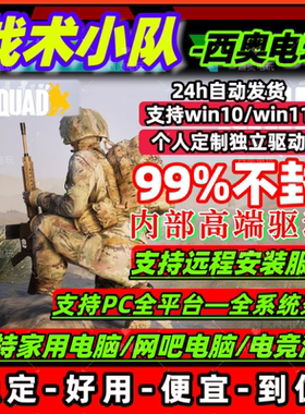 战术小队辅助ve魔法squad科技24h自动发货稳定好用 支持steam平台