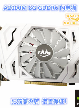 肥猫家の店 RTX A2000  8G D6 AI 专业图形卡 光追电竞游戏显卡