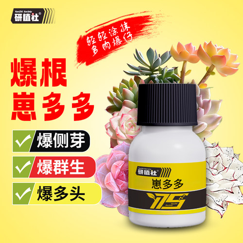 研植社爆根多肉崽多多爆芽素