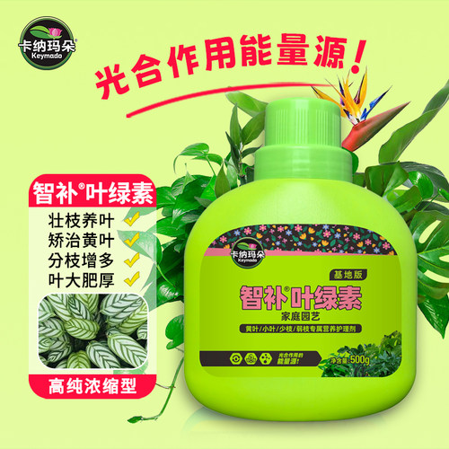 卡纳玛朵叶绿素营养液改善黄叶