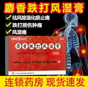 白云山敬修堂 麝香跌打风湿膏6贴祛风除湿化瘀止痛风湿痛跌打损伤