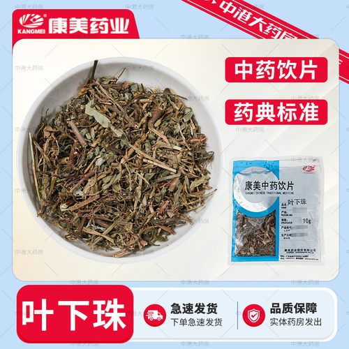 康美药业 叶下珠 50g 中药饮片叶夏草叶下草茶珍珠草鱼鳞龙珠草