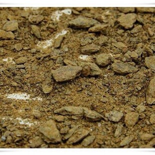 材礞石 金礞石 金蒙石 礞石 金礞石真货