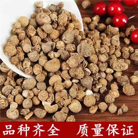材野生滴水珠 易一面锣 白铃子 独龙珠 蛇珠包邮真货