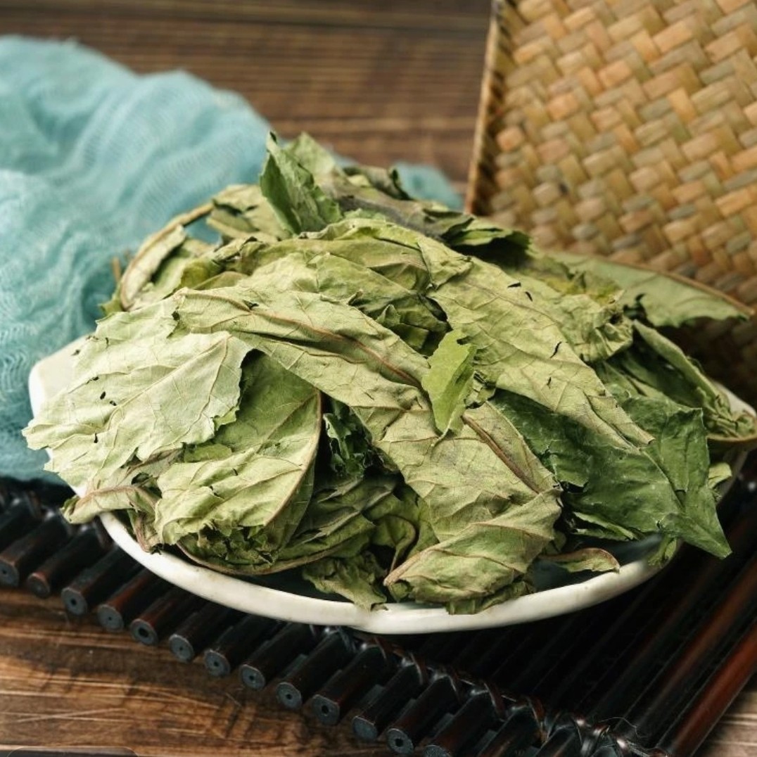 晒干南非叶1kg干叶树苗干叶茶