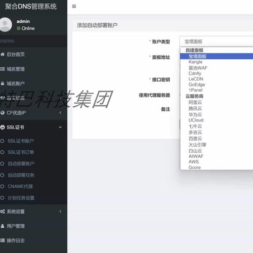 聚合DNS已更新SSL证书自动申请与部署功能