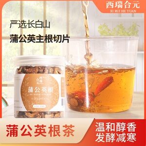 蒲公英根发酵不寒茶性温和