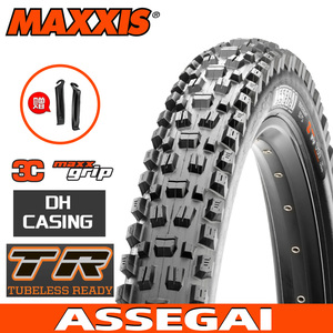 MAXXIS玛吉斯速降外胎真空