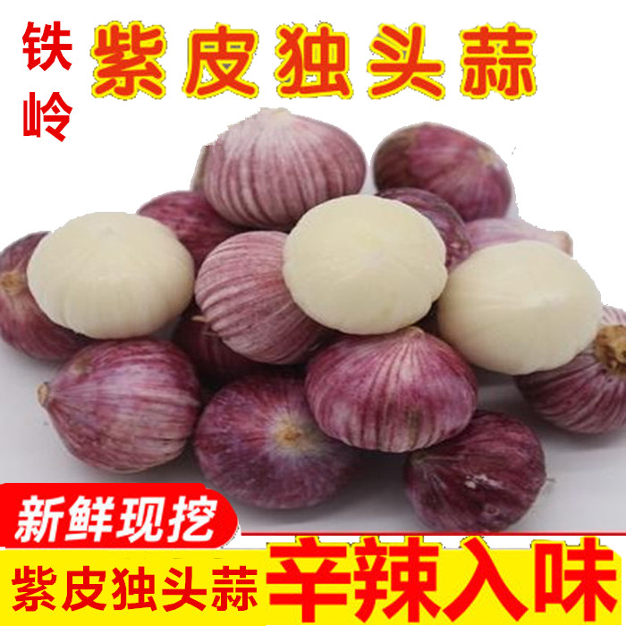东北铁岭紫皮独头特产蒜5斤大蒜 新鲜农家蔬菜蒜头现挖干蒜包邮