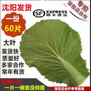 顺丰包邮商用大白菜叶农家新鲜蔬菜打饭包菜叶打菜包饭包白菜叶子