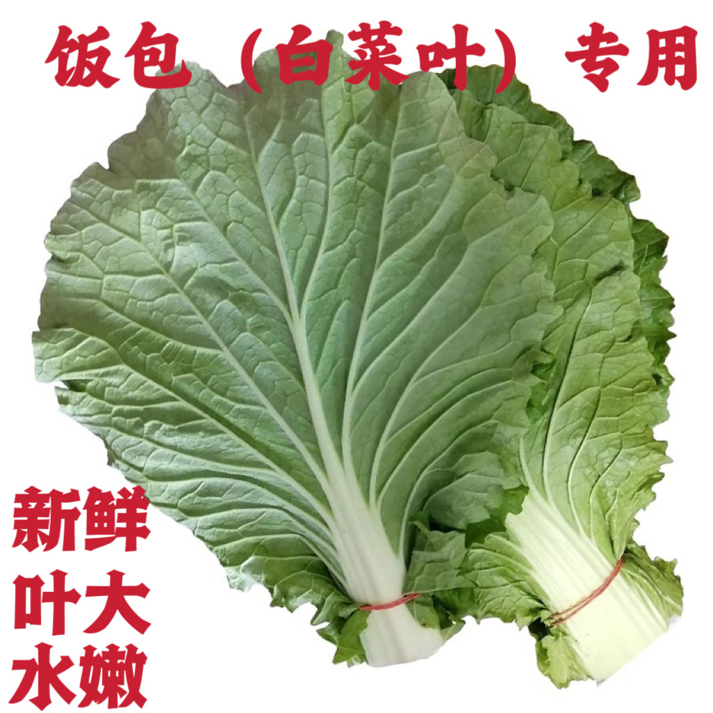 辽宁大东北打包白菜叶子现摘蔬菜包饭菜叶新鲜蔬菜青菜白菜大包邮