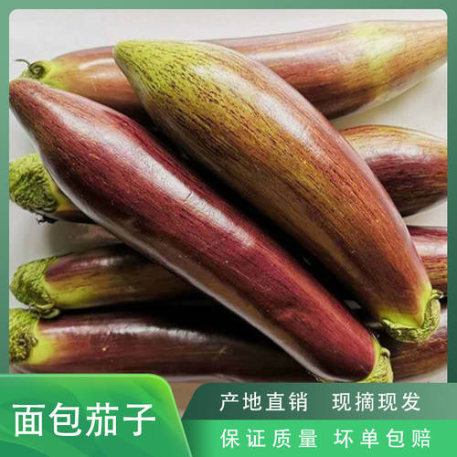 东北茄子新鲜花茄子农家自种花茄子现摘现发蔬菜当季面包茄子