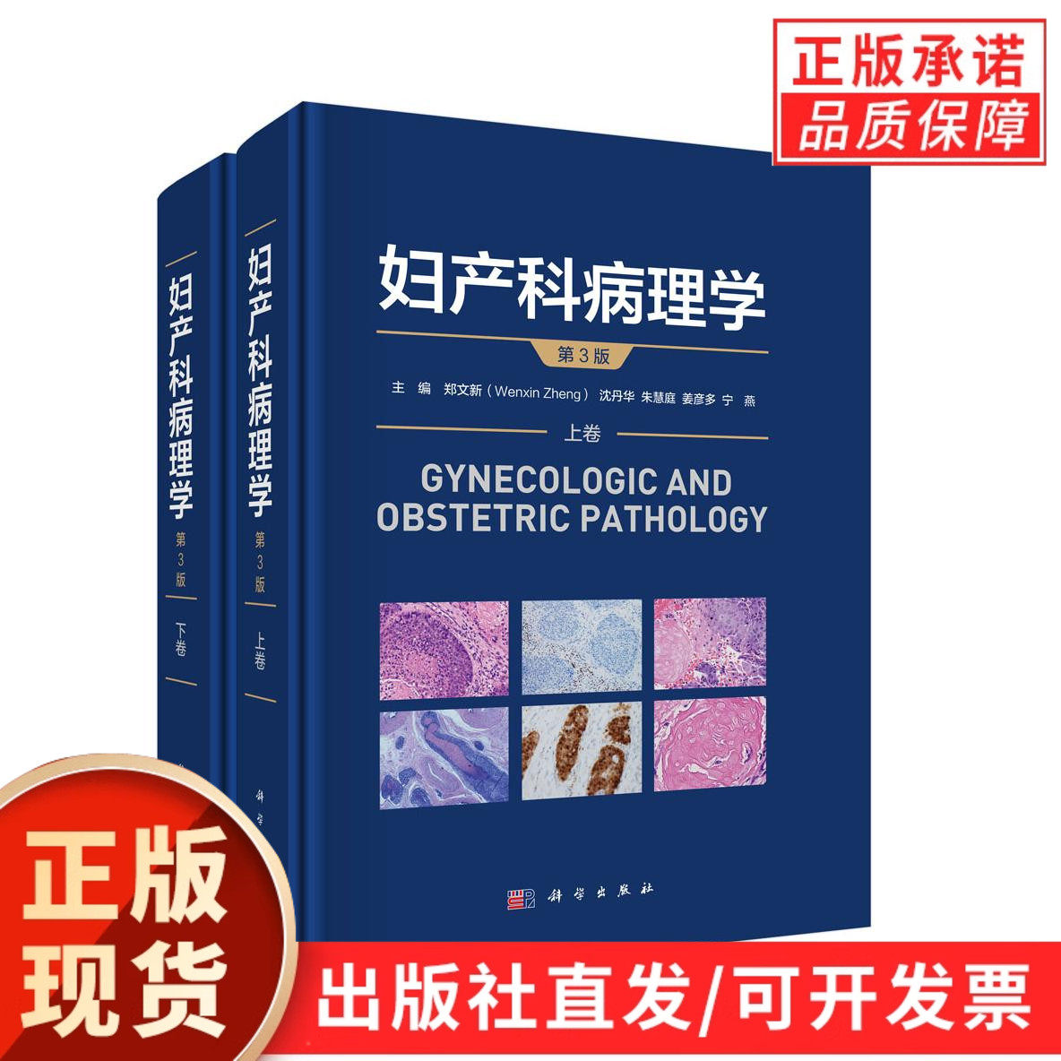 【正版现货】全套2册妇产科病理学第3版三版2025新版郑文新沈丹华朱慧庭姜彦多宁燕生殖系统疾病生殖道肿瘤HPV妇产科疾病