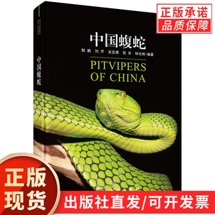 【现货正版】中国蝮蛇 郭鹏 等编著 科学出版社 正版书籍  蛇类科普百科书