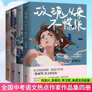 【现货正版】全套4册全国中考语文热点作家作品集的有趣在无聊的日子里+玫瑰从来不慌张+在更热烈的风里相遇+人生没有多余的疼