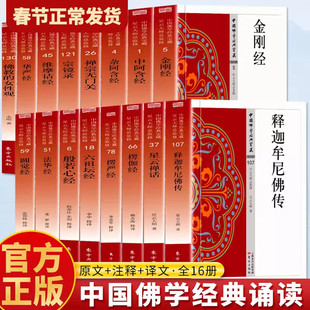 【单册任选】正版全套16册中国佛学经典星云大师入门级佛学书籍中阿含经六祖坛经华严经般若心经金刚经法华经禅宗无门关维摩诘经
