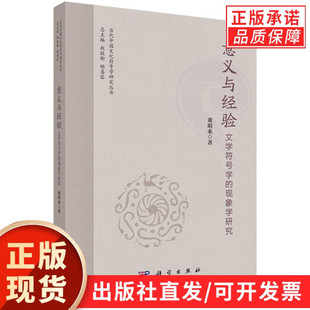 意义与经验：文学符号学的现象学研究