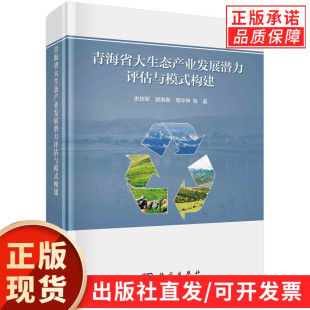 构建 青海省大生态产业发展潜力评估与模式