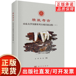精致考古：山东大学实验室考古项目论文集 一