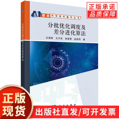 分批优化调度及差分进化算法