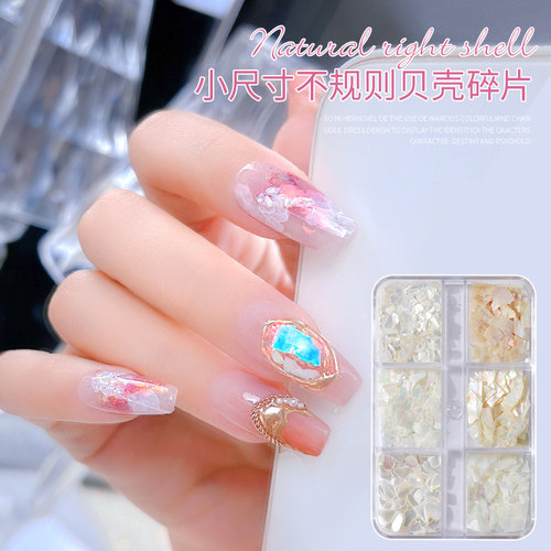 limitpretty6格贝壳套装