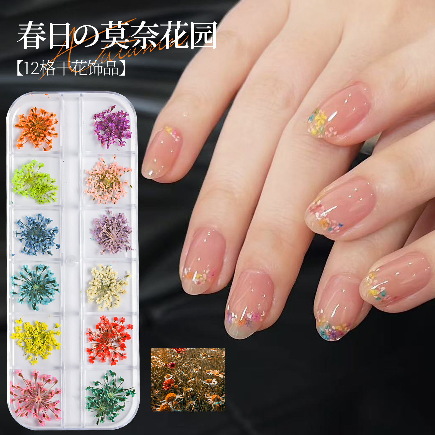 Limitpretty春日莫奈花园干花满天星小碎花指甲装饰12格套装饰品