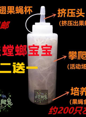 包邮果蝇杯活体饲料大小残翅果蝇树蛙跳蛛螳螂蜘蛛活体饲料实验蝇
