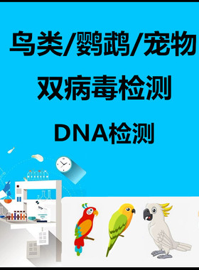 羽翔生物检测鹦鹉双病毒(多瘤病APV及喙羽症PBFD)鸟类性别DNA验卡