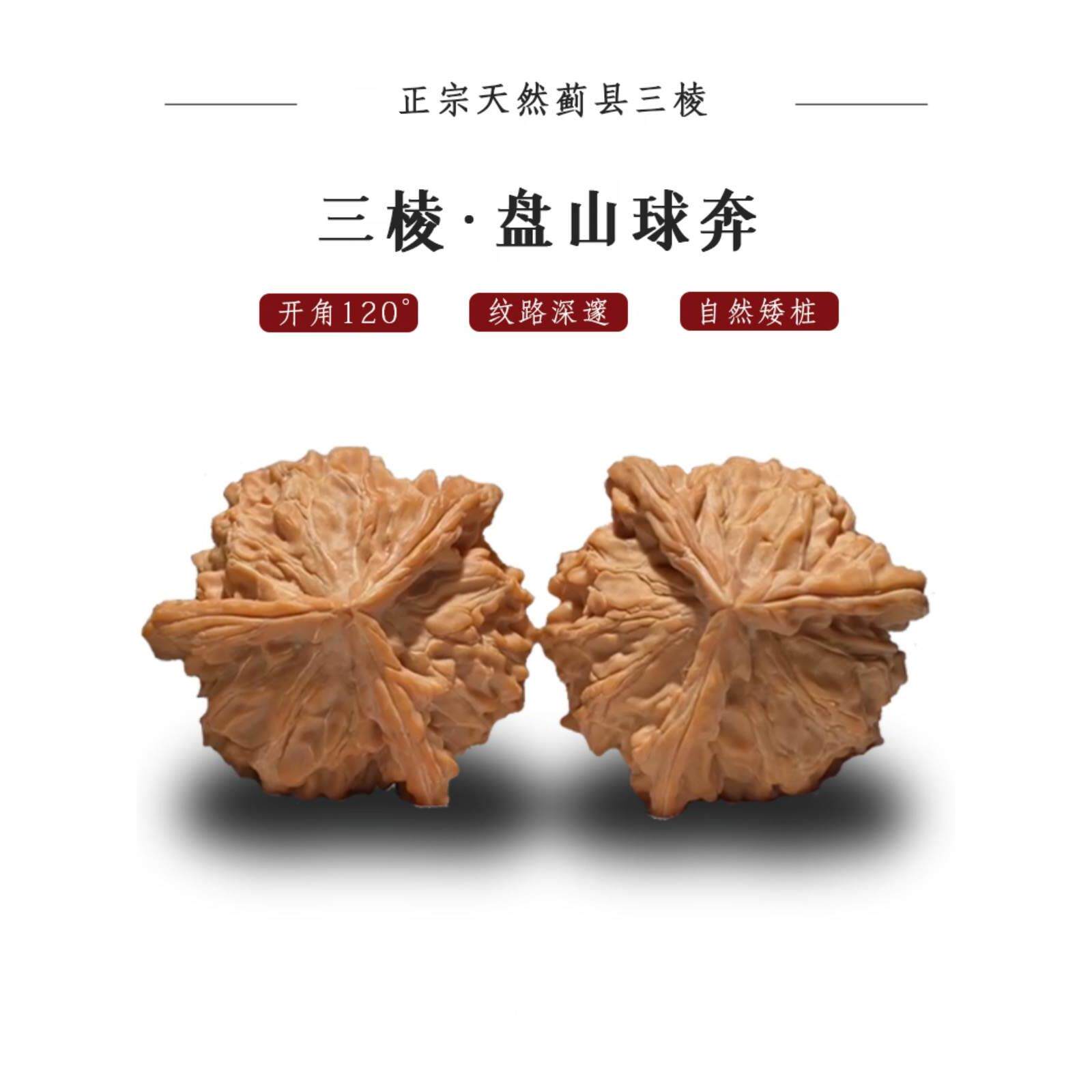 白狮子核桃产地,白狮子核桃(第8页)_大山谷图库