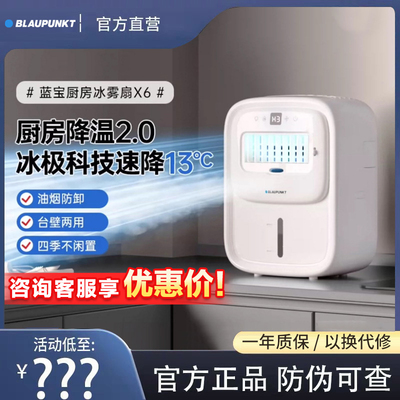 德国蓝宝厨房冰雾扇专用电风扇小空调冷风机家用防油烟制冷壁挂