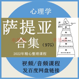 萨提亚合集课程家庭重塑冰山理论全集自我成长系统自学心理学教学