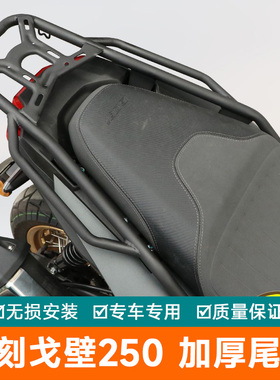 适用于力刻戈壁250后尾货架尾箱LK250T-8行李架尾架尾翼背箱支架