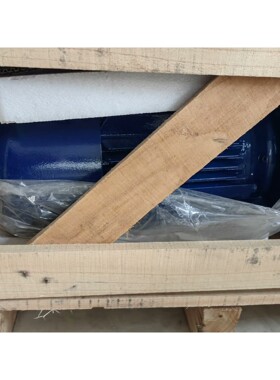 江特电机YEJ132S-6-G-B08 55N.m 3kW, 备件议价