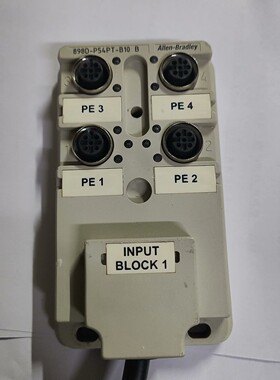 ab,罗克韦尔,集线器,898D-P58PT-B10 备件议价