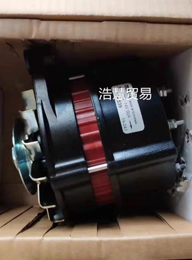 BUKH卜克DV24 DV29救生艇发电机008E7139发电机612H0520发电机